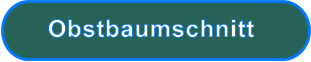 Obstbaumschnitt